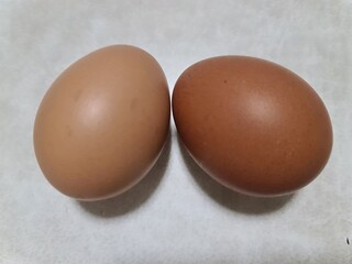 two eggs on gray table, fresh chicken couple eggs together