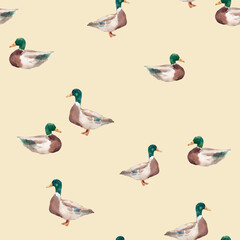 Seamless pattern with watercolor ducks hand drawn mallard birds on white background for kids wallpaper and fabric