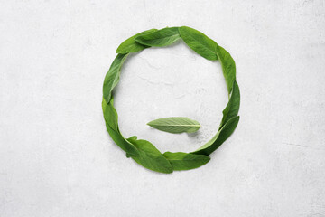 Fresh organic sage leaves lay in circle on light background. top view, copy space
