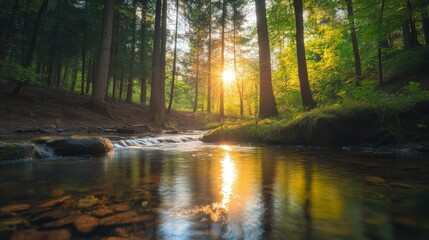 A tranquil stream flows through a lush green forest, the setting sun casting golden rays through the trees and reflecting on the water.