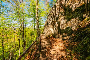 Hiking to Peak Tri Koruny or Trzy Korony during day. Pieniny National park in Poland. Pieniny Castle