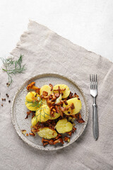 Minimalistic top view of Delicious fried chanterelles with new potatoes on ceramic plate, copy space