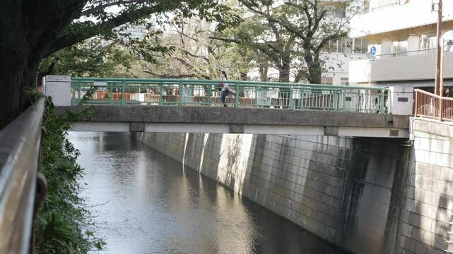 landscape view of nagameguro river with fallen sakura tree along on bothside of meguro river with bridge in sunny autumn day time, landscape view in Tokyo Japan