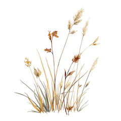 Dried grasses, textured illustration