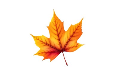 Fragile Canada Maple Leaf