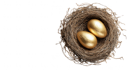 Golden eggs in a bird's nest (1)