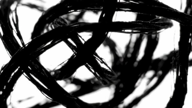 Abstract black ink design with flowing lines and intricate shapes on white background