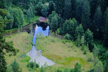 Ellbachsee im Schwarzwald