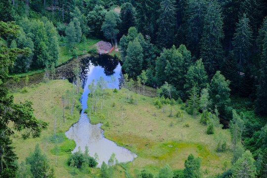 Ellbachsee im Schwarzwald