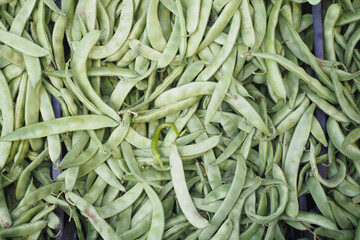 Fresh green beans displayed at a local market in summer