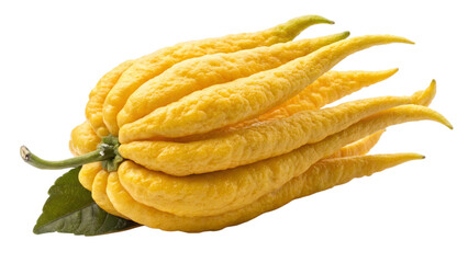 Buddha's hand citron fruit benefits uses nutrition facts and recipes healthy food citrus medica maxima exotic