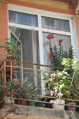 Beautiful floral balcony in vibrant city setting