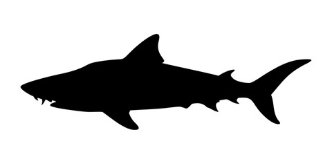 Aggressive Shark Silhouette Vector – Black Ocean Predator Illustration