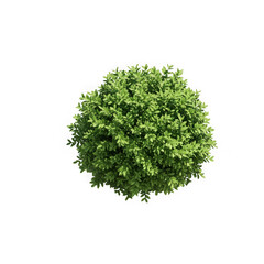 Naklejka premium A green bush isolated on transparent background, perfect for landscaping