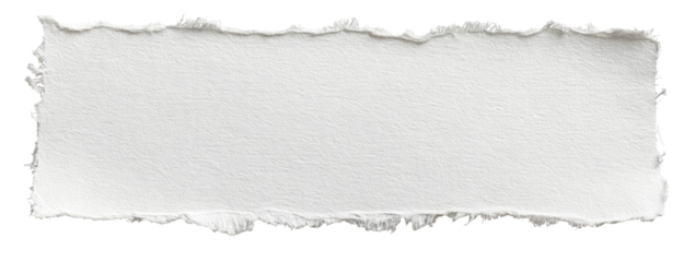 Torn Edge White Paper Strip Texture on Transparent Background