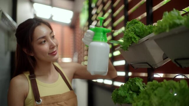 Happy woman growing and watering plants vegetables in a vertical garden
on his apartment balcony, an urban lifestyle with homegrown food and
sustainable living in limited space. Vertical garden.