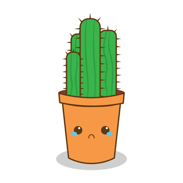 cute cactus in a pot