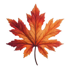 3D Autumn Maple Leaf with Orange Gradients in Clay Style Isolated on Transparent White Background