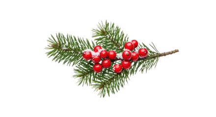 Festive Pine Branch with Red Berries.