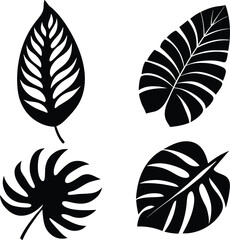 Four black abstract tropical leaf silhouettes on white background