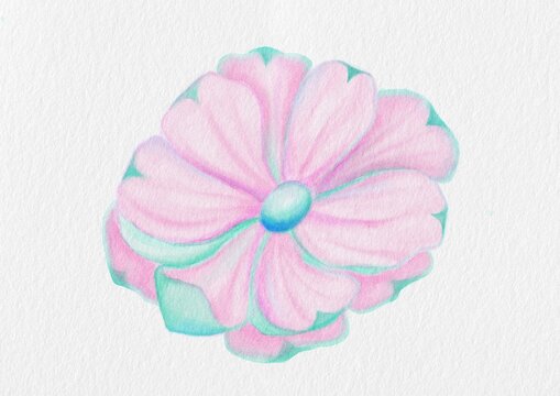 Soft Pink Watercolor Flower Illustration