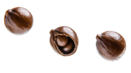 Delicious Macadamia Nuts in Various Stages of Shelling on a Transparent Background