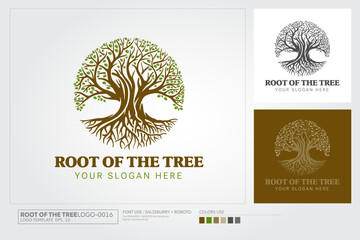 Root Of The Tree logo Template. Vector silhouette of a tree. 