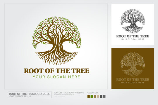Root Of The Tree logo Template. Vector silhouette of a tree. 