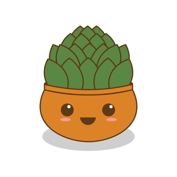 Leafy plant in a pot