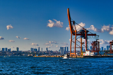 cranes in the port
