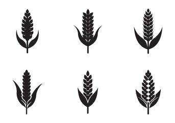 set of quinoa icon vector illustration