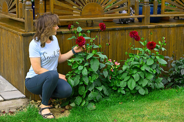 Woman examining a Black Touch Dahlia, in July, 2025.