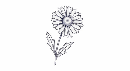 Daisy porcelain decoration design (dark blue)