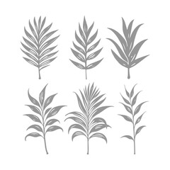 Illustraion of Stylized Grey Leaf Collection Tropical Foliage Silhouettes