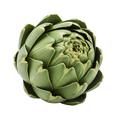 Obraz premium Whole Fresh Green Artichoke on a Transparent Background, White Background