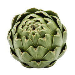Obraz premium Whole Fresh Green Artichoke on a Transparent Background, White Background