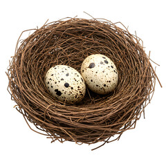 Obraz premium A delicate bird's nest cradles two speckled eggs isolated on white or transparent background. PNG format.