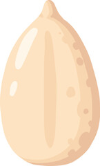 Cartoon nut design. Nut snacks frame, hazelnut, walnut, almond and pistachio frame of polygon shape flat vector illustration. Nuts border frame