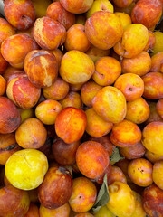 lots of ripe plum fruits for food as background