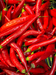 lots of red chili peppers for food as background