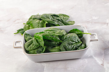 Raw green baby spinach plant