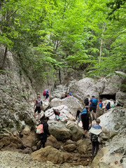Tourists travelers go to the mountain by the forest river