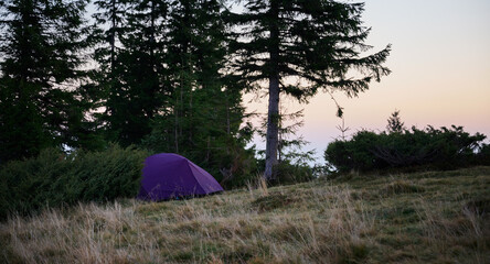 Purple camping tent in the forest at sunset. Outdoor adventure in the mountains. Peaceful campsite...
