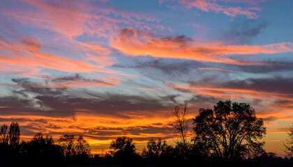 Fototapeta premium Fiery Sunset Over Silhouetted Trees