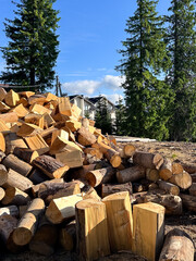 Pile of chopped firewood near trees and houses under blue sky.