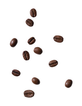 コーヒー豆の切り抜き