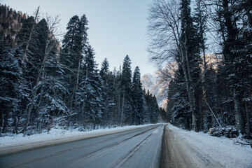 road in winter snowy forest