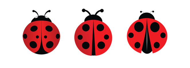 ladybug, cute, 3D, Shiny, bright, vibrant, ladybird, beetle, cartoon, vector, illustration, red, black, for design and decoration isolated on white