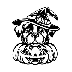 Obraz premium Dog and pumpkin coloring 