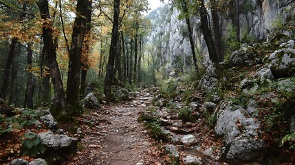 Fototapeta premium Peaceful mountain trail covered in golden autumn leaves and rugged rocks, capturing tranquil seasonal nature scenery perfect for outdoor adventure and hiking themes.